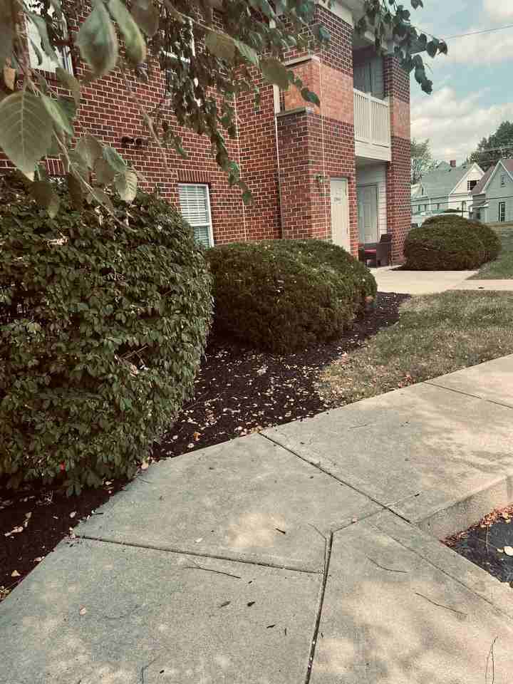 Apartments for Rent in Elwood, IN 25 Condos & Other Rentals Zumper