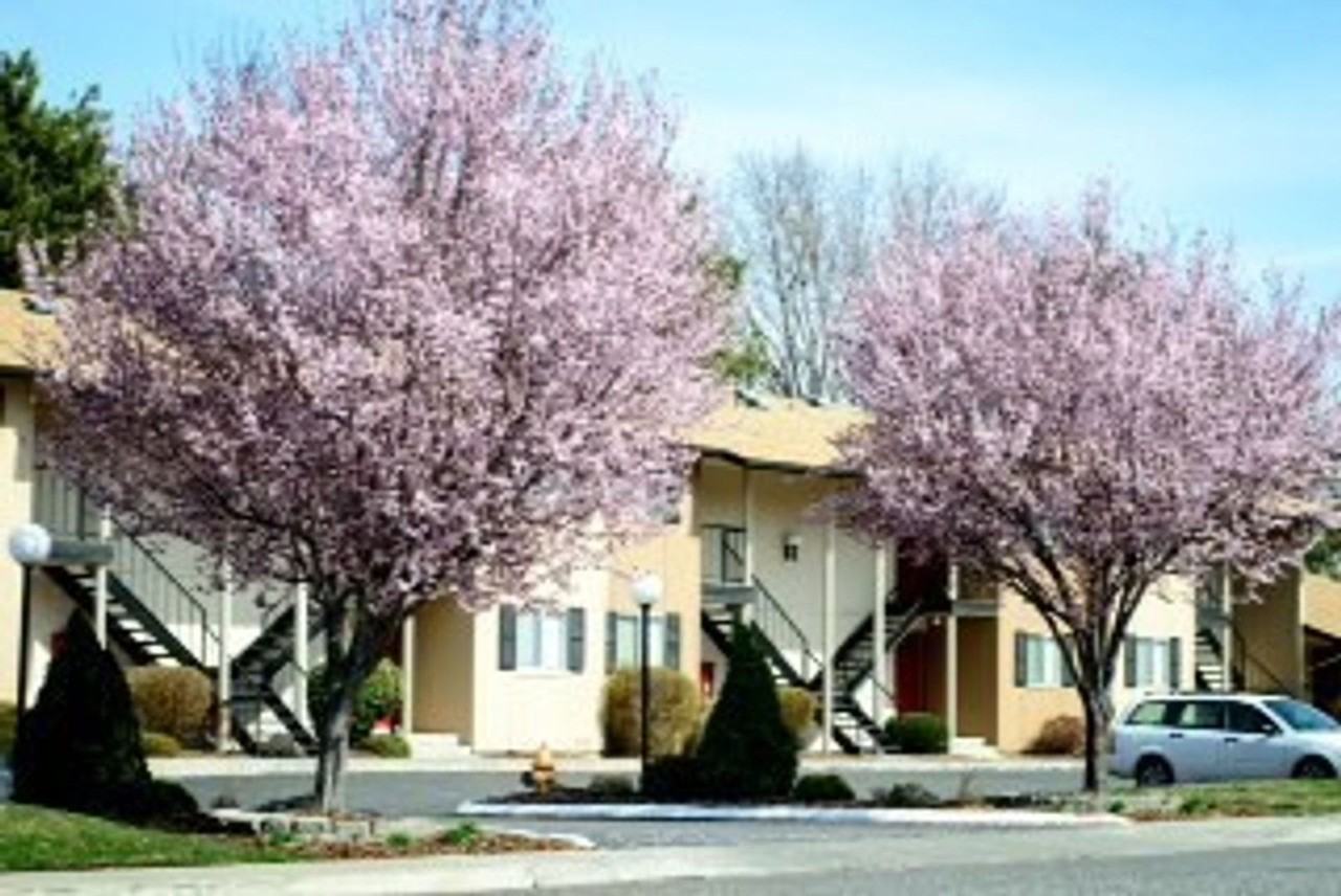 The Illahee Apartments - Photo 3 of 40