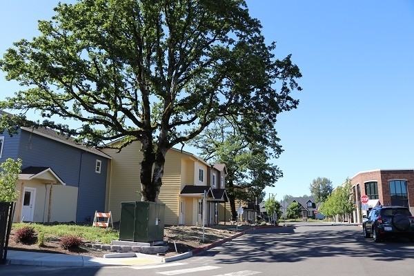 The Crossings Townhomes (55+ Community) - Photo 6 of 6
