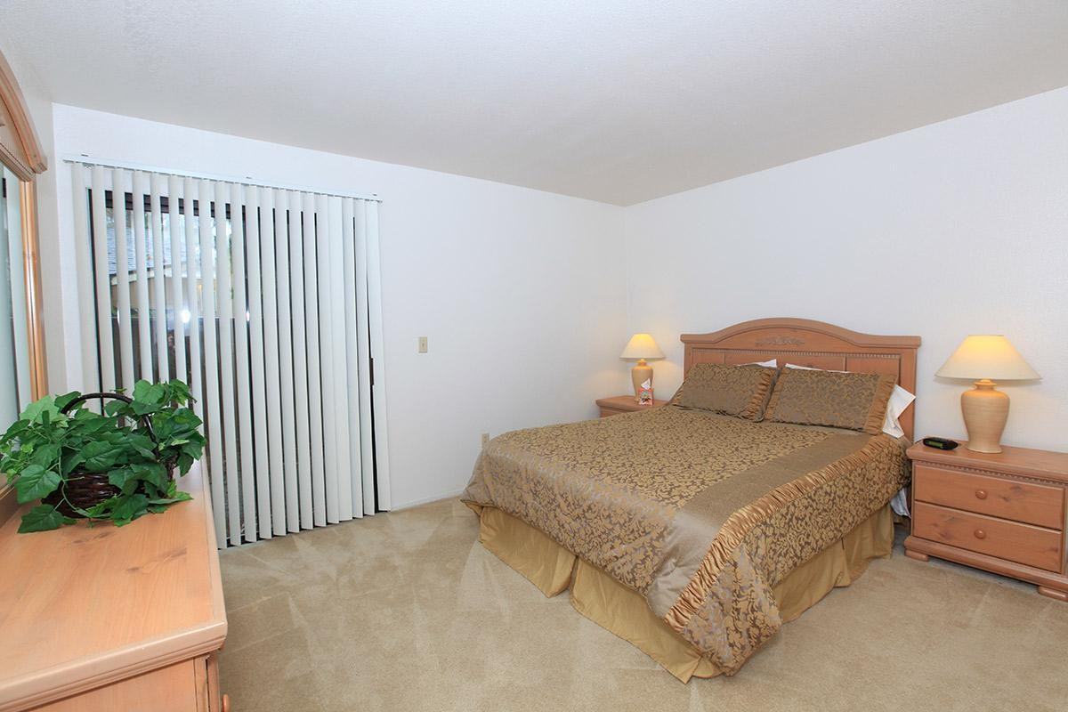 Edgewater - Photo 2 of 50