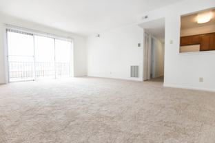 905 Paddock Apartments - Photo 1 of 1