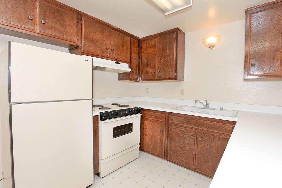 Raintree Garden Apartments - Photo 3 of 26