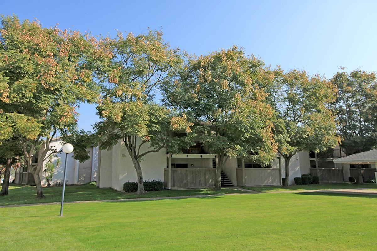 Raintree Garden Apartments - Photo 7 of 26