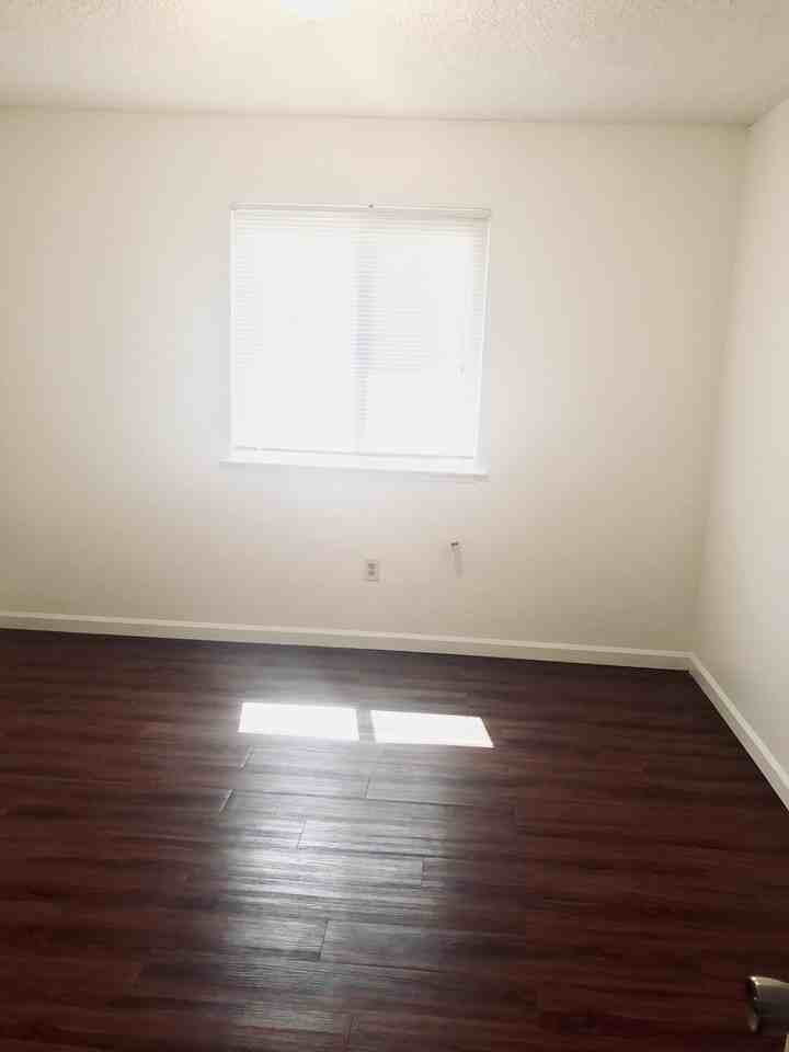 Pacific Pines - Photo 5 of 40