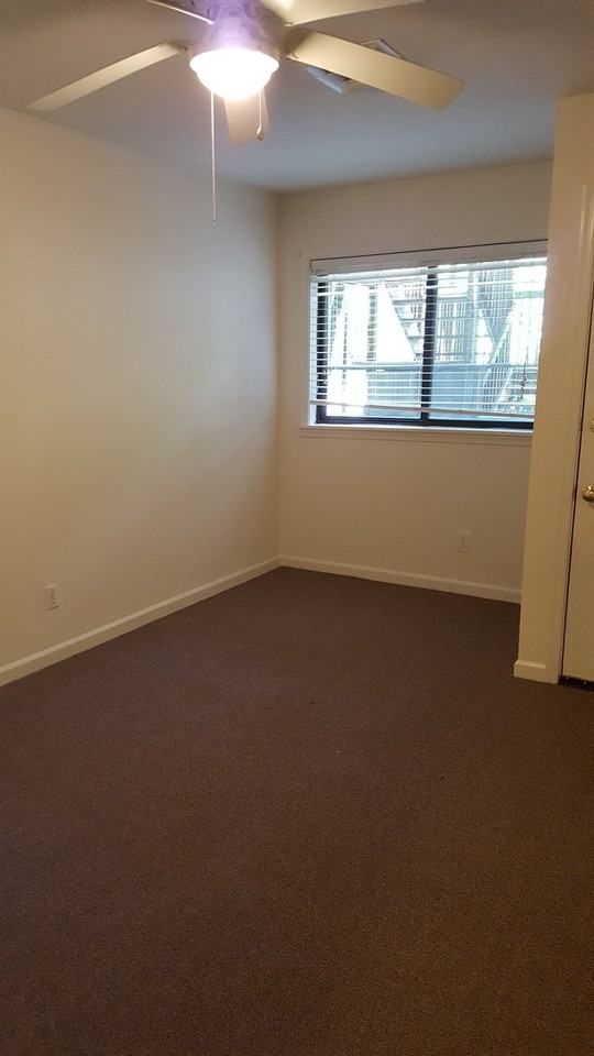 1010 Wertland Street - Photo 4 of 13