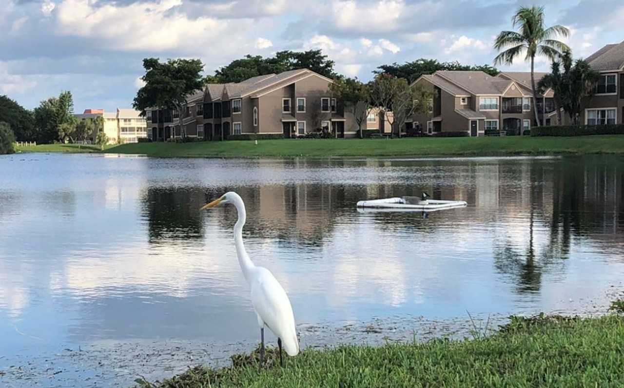 2801 Northwest 91st. Ave. - Photo 7 of 50