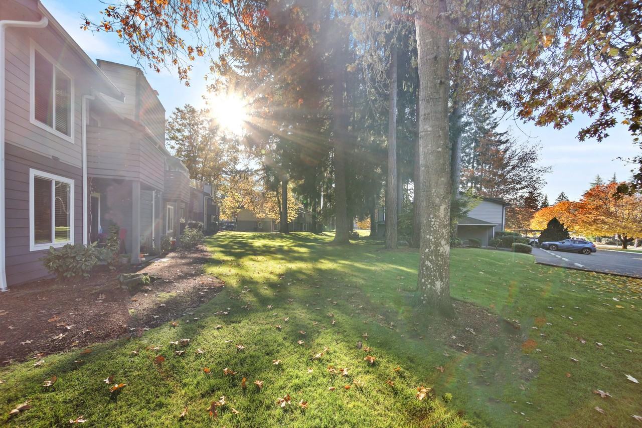 Sherwood Glen - Photo 5 of 9