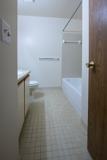 Wilderness Park Apartments - Photo 1 of 1