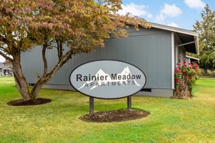Rainier Meadow - Photo 1 of 1