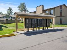 Golden Given - Photo 1 of 1