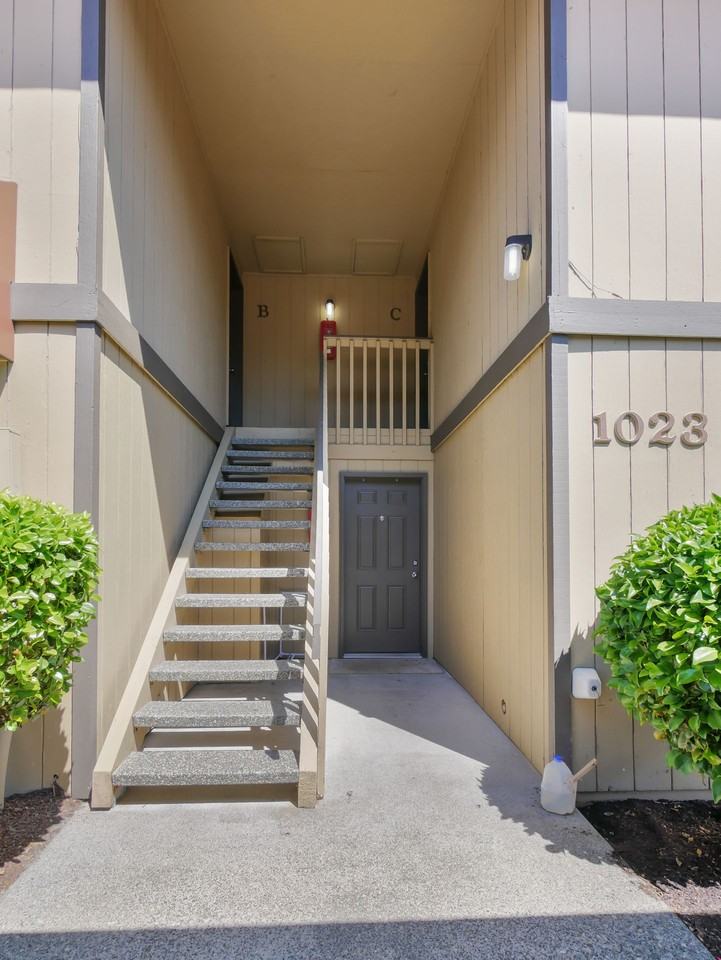 Golden Given - Photo 3 of 9