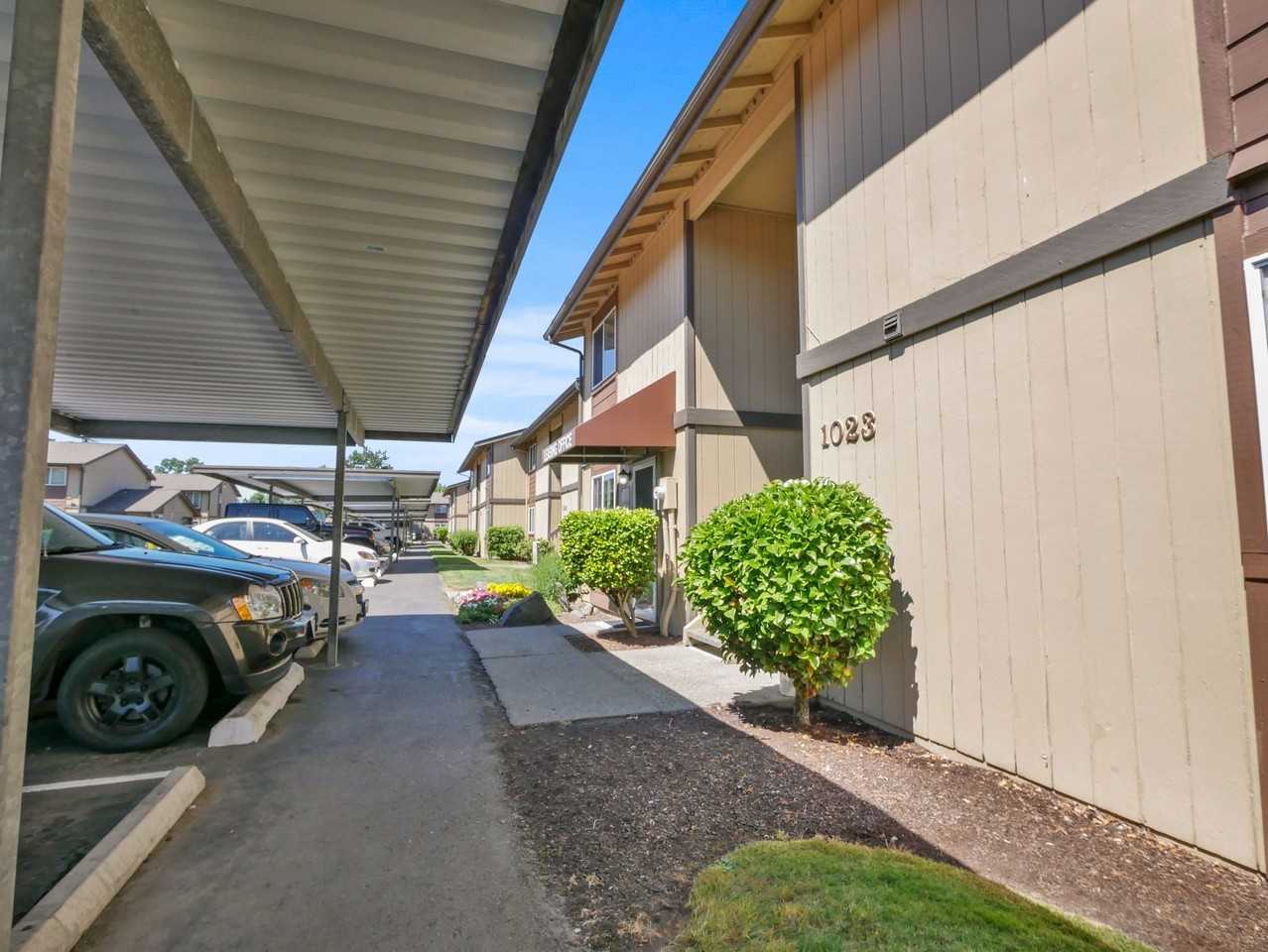 Golden Given - Photo 4 of 9