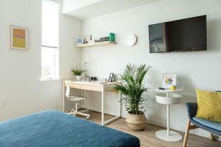 The Amy - Photo 1 of 1