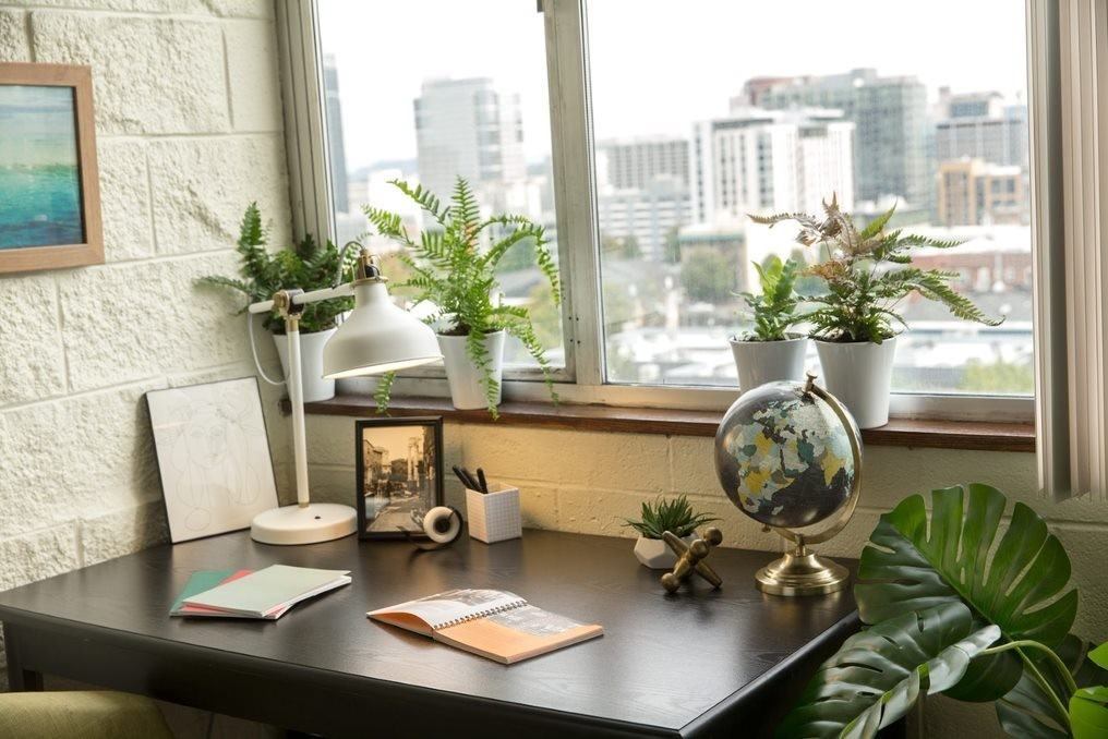 hor300 - Photo 5 of 24