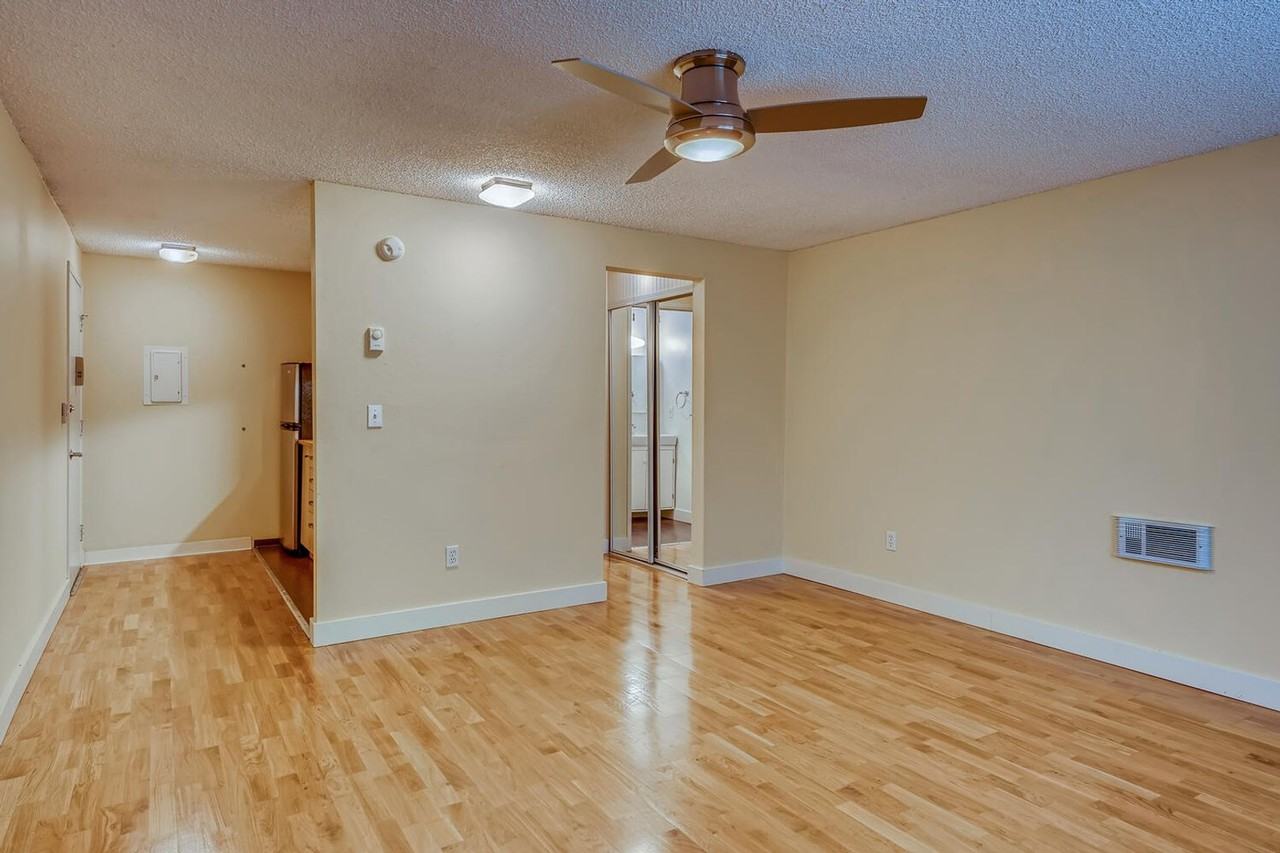 Curry Court - Photo 3 of 8