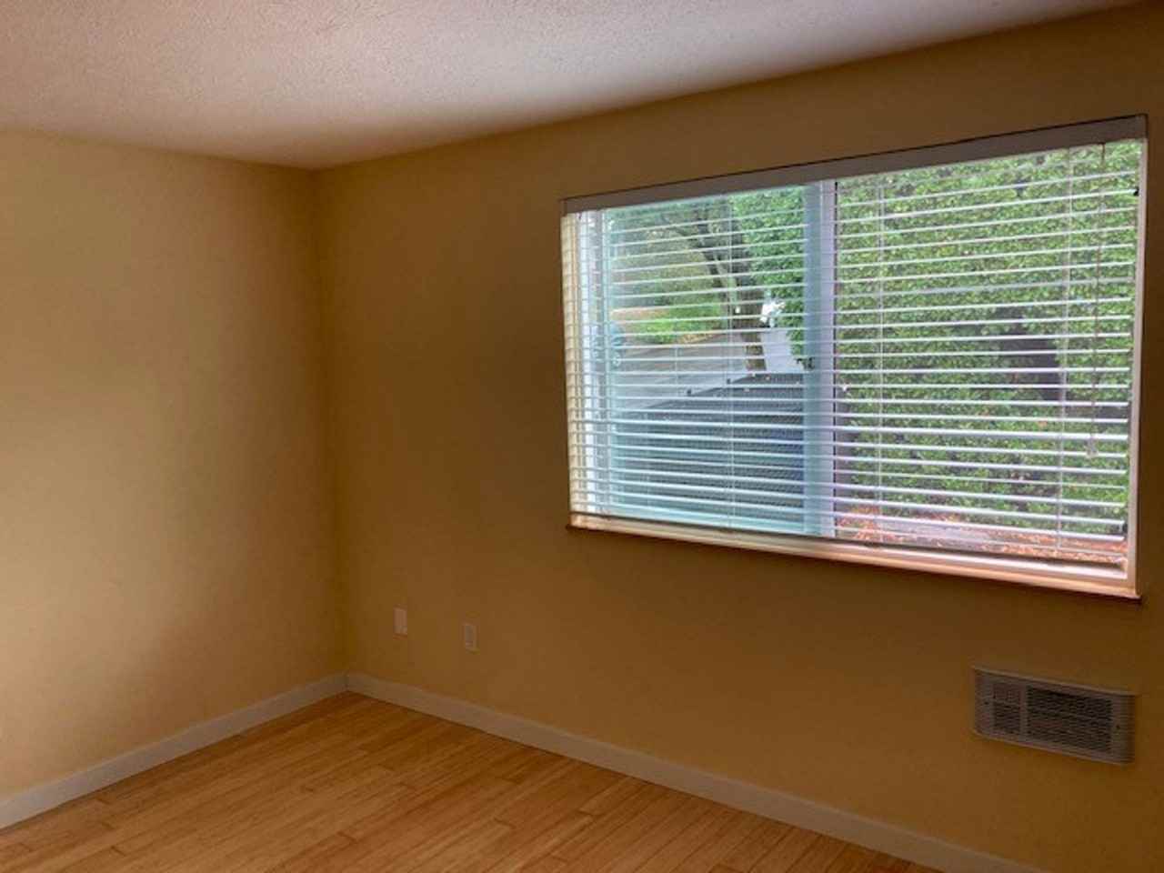 Curry Court - Photo 5 of 6