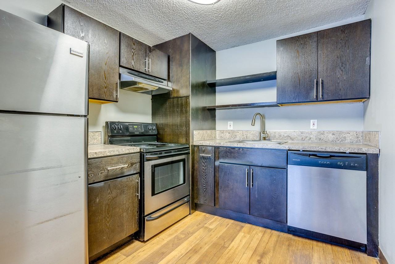 hor500 - Photo 2 of 19