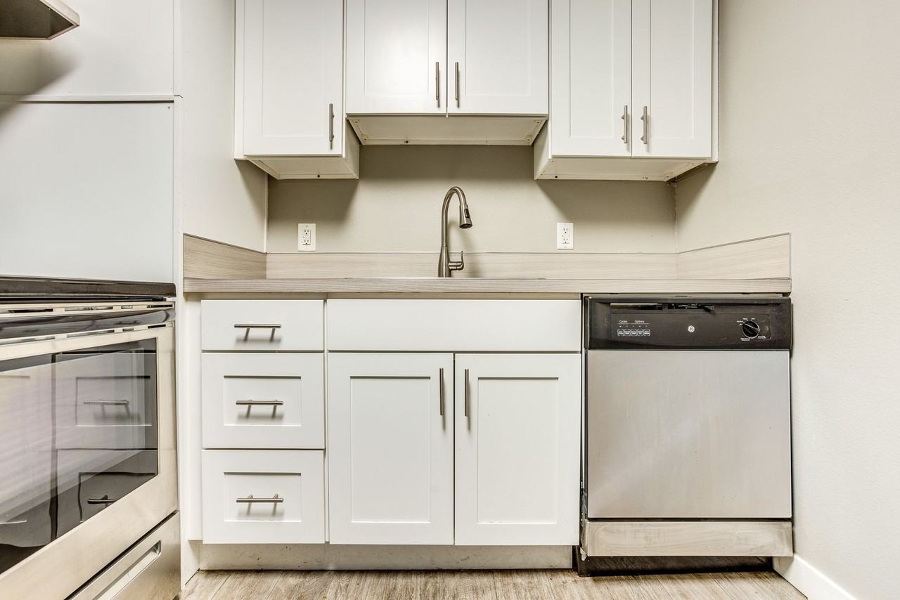 hor500 - Photo 4 of 19