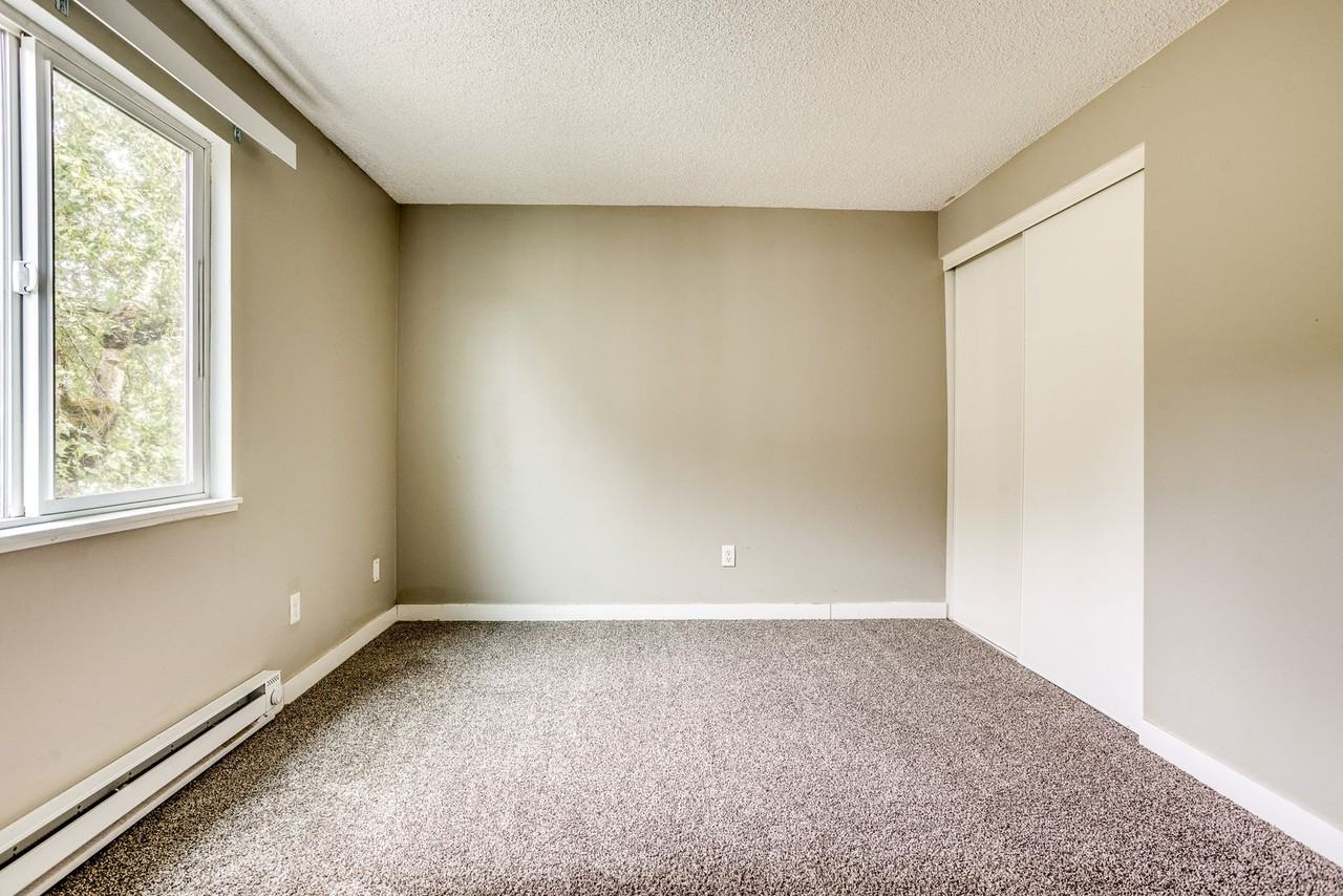 hor500 - Photo 6 of 19