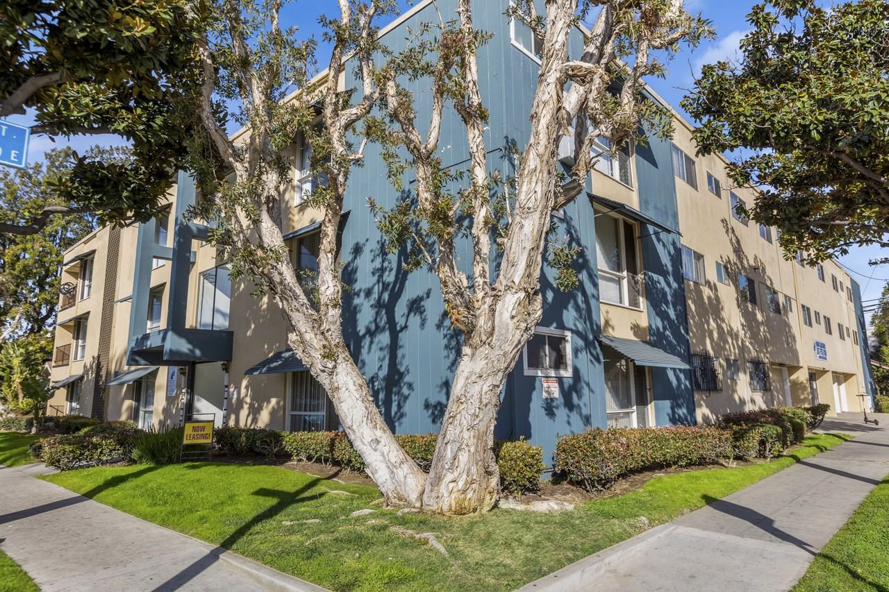 800 Linden Ave - Photo 3 of 29