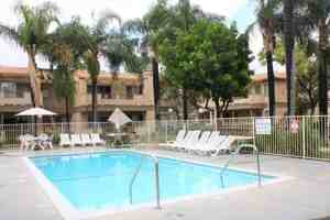 featured image of Juniper Ave