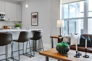 The Maven - Photo 1 of 1