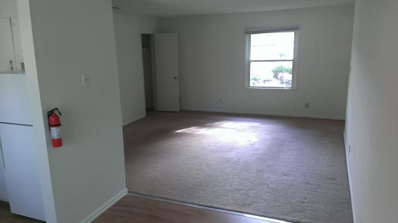 Delane Glen Apartment Affordable 1 bedroom - Photo 2 of 6
