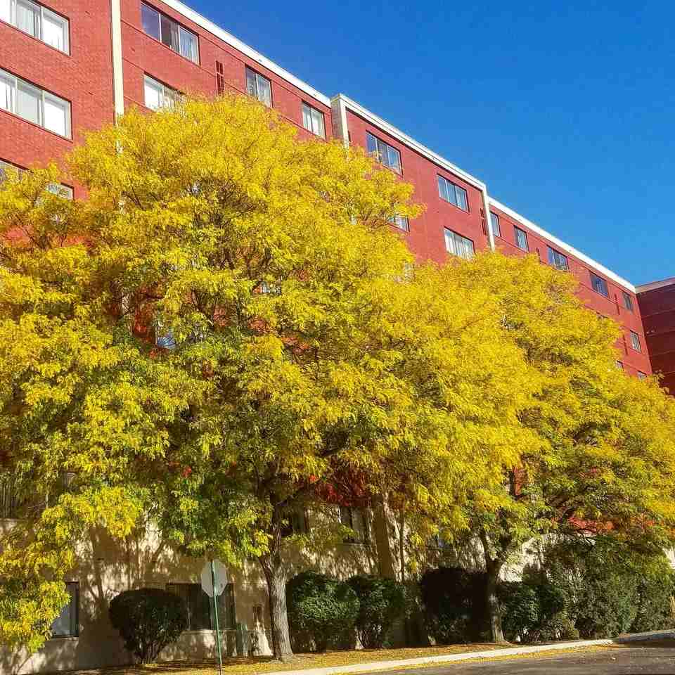 Regal Towers Apartments - Photo 3 of 45