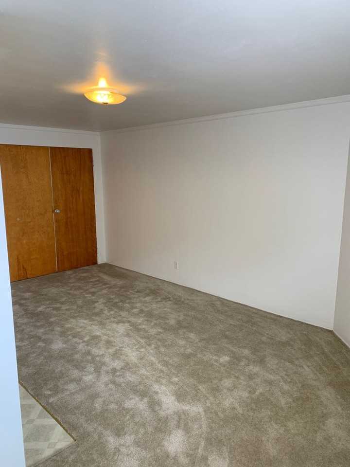 The Avenue apartments - Photo 7 of 20