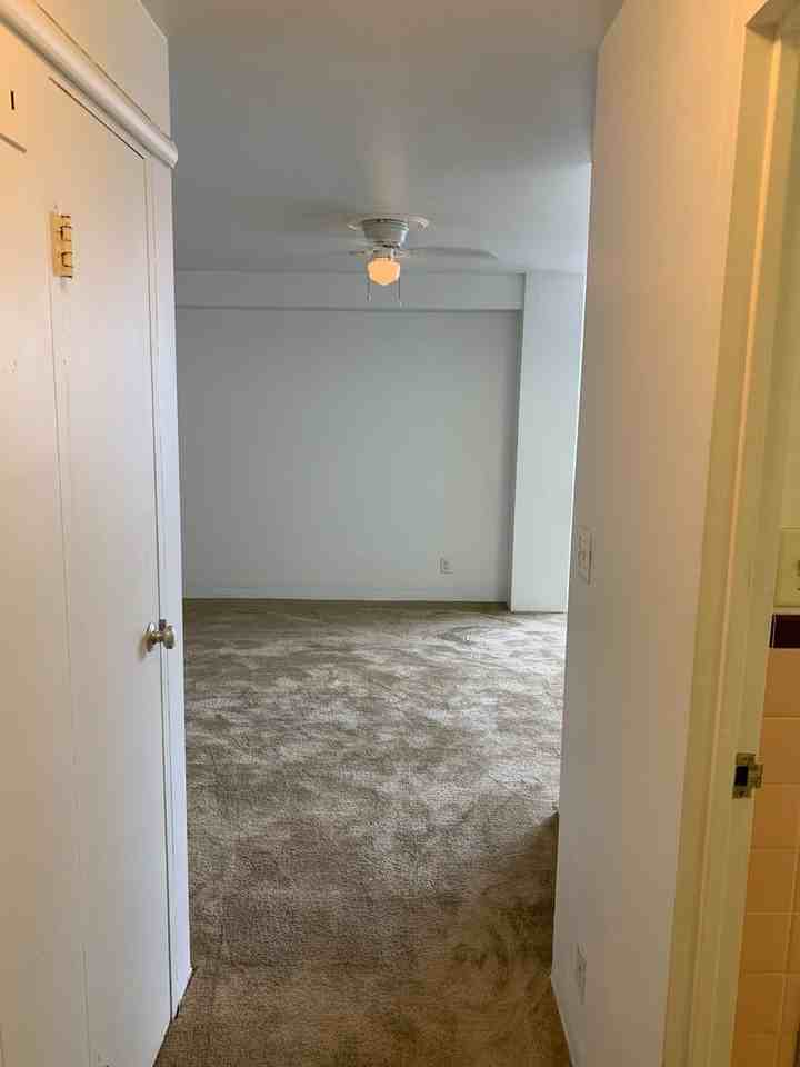 The Avenue apartments - Photo 7 of 20