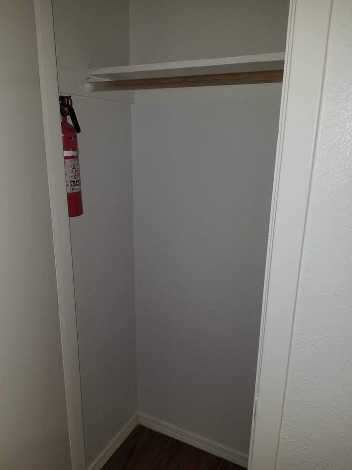 The Woods - Photo 3 of 17