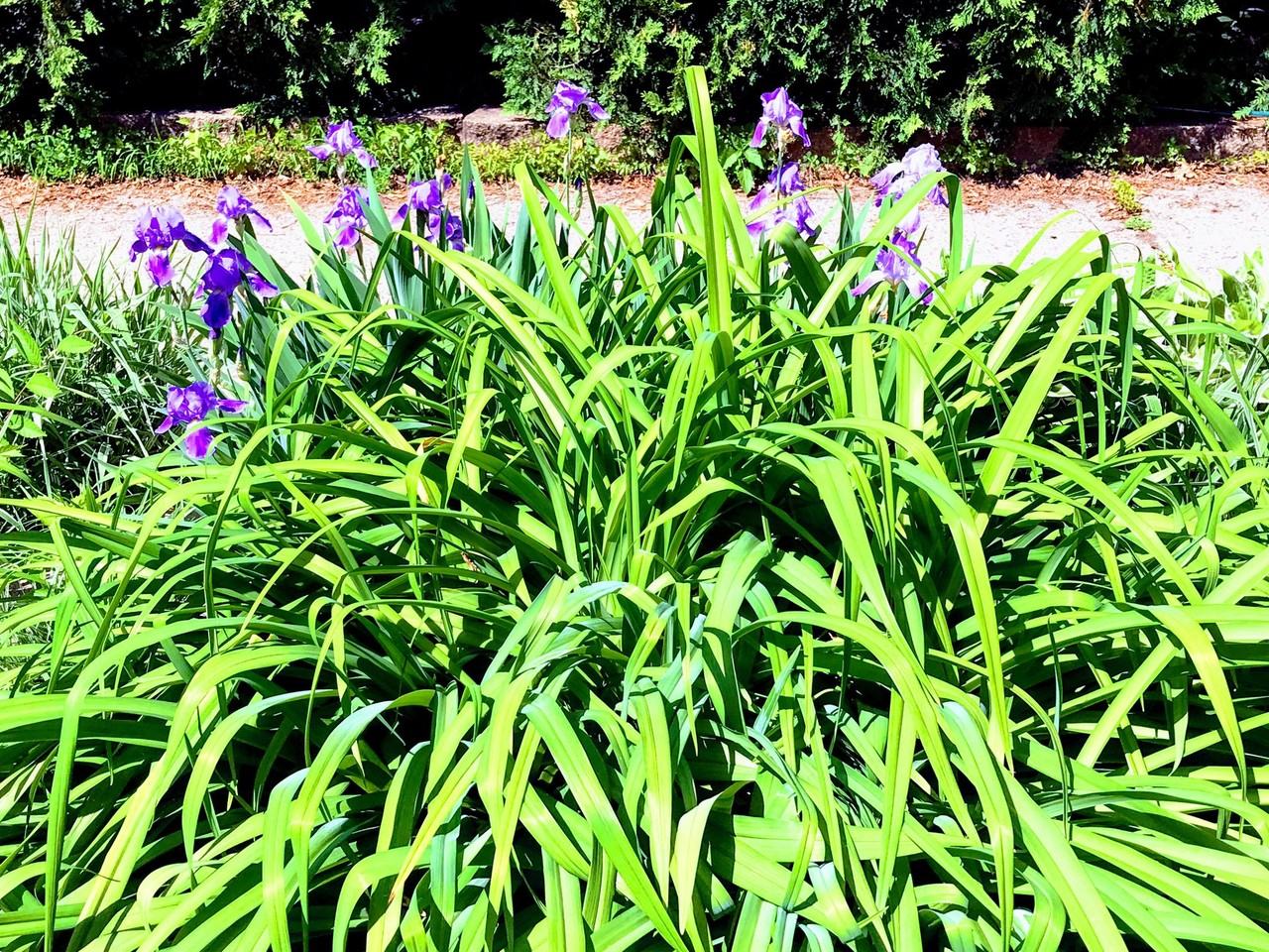 2700 Humboldt Ave S. - Photo 4 of 12