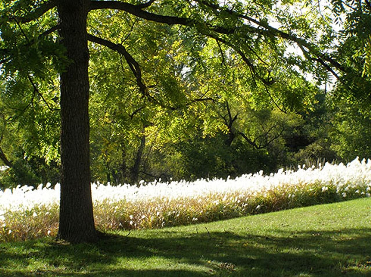 Creek View Apartment Homes 8817 w 35th st. - Photo 4 of 19