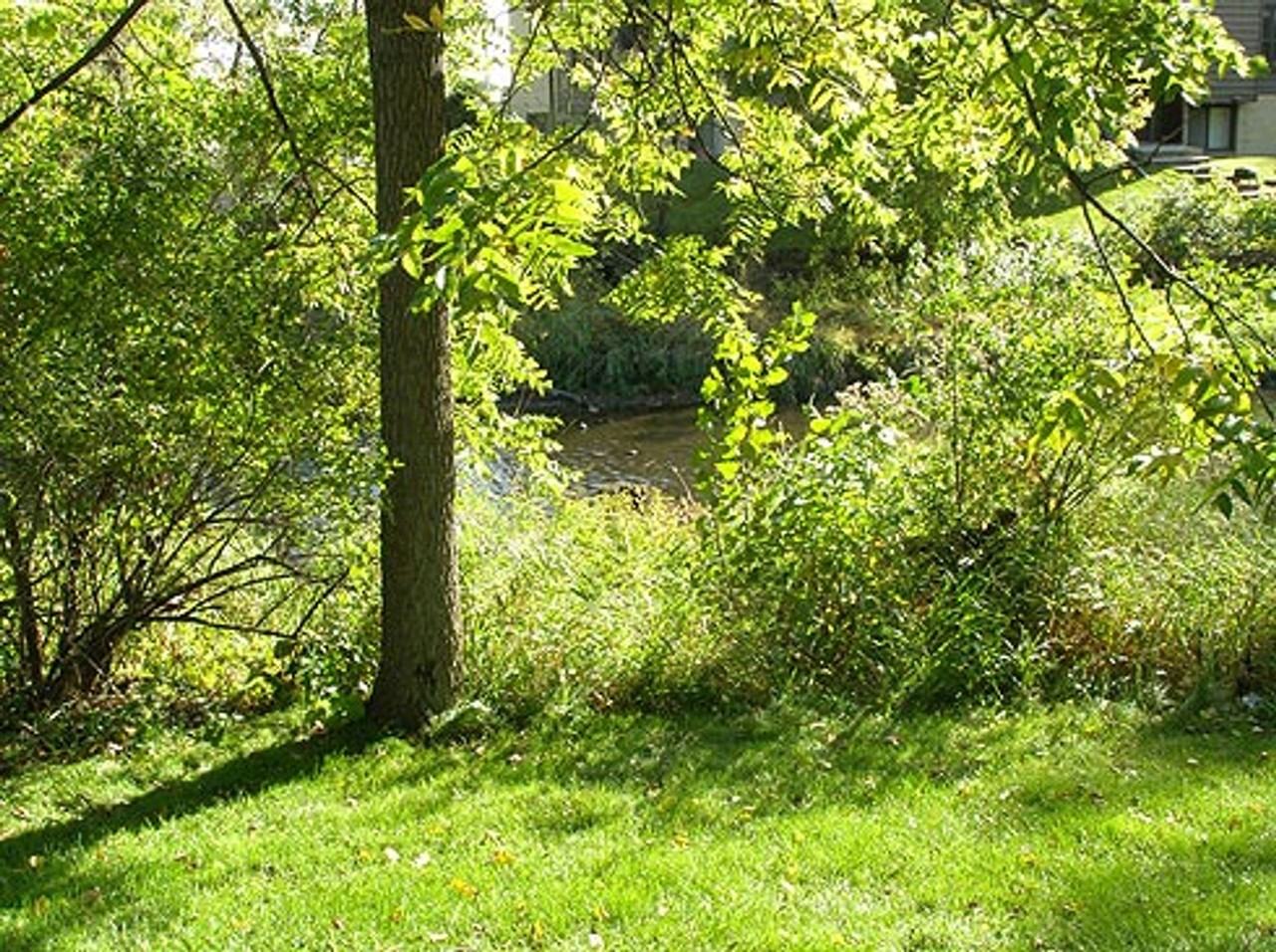 Creek View Apartment Homes 8817 w 35th st. - Photo 6 of 19