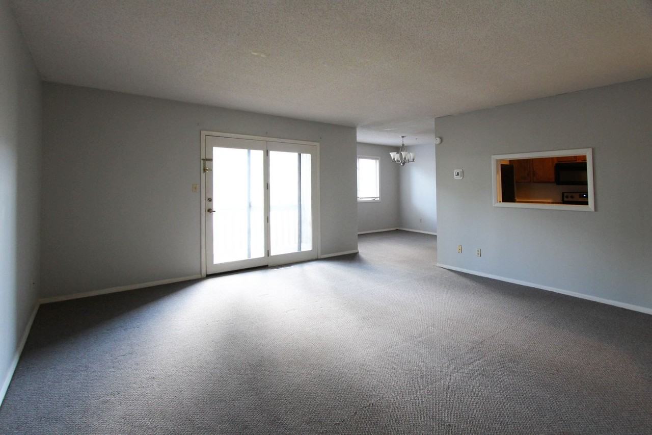 920 North Linden Street #5 - Photo 3 of 15