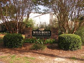 Wild Horn Plantation - Photo 1 of 1