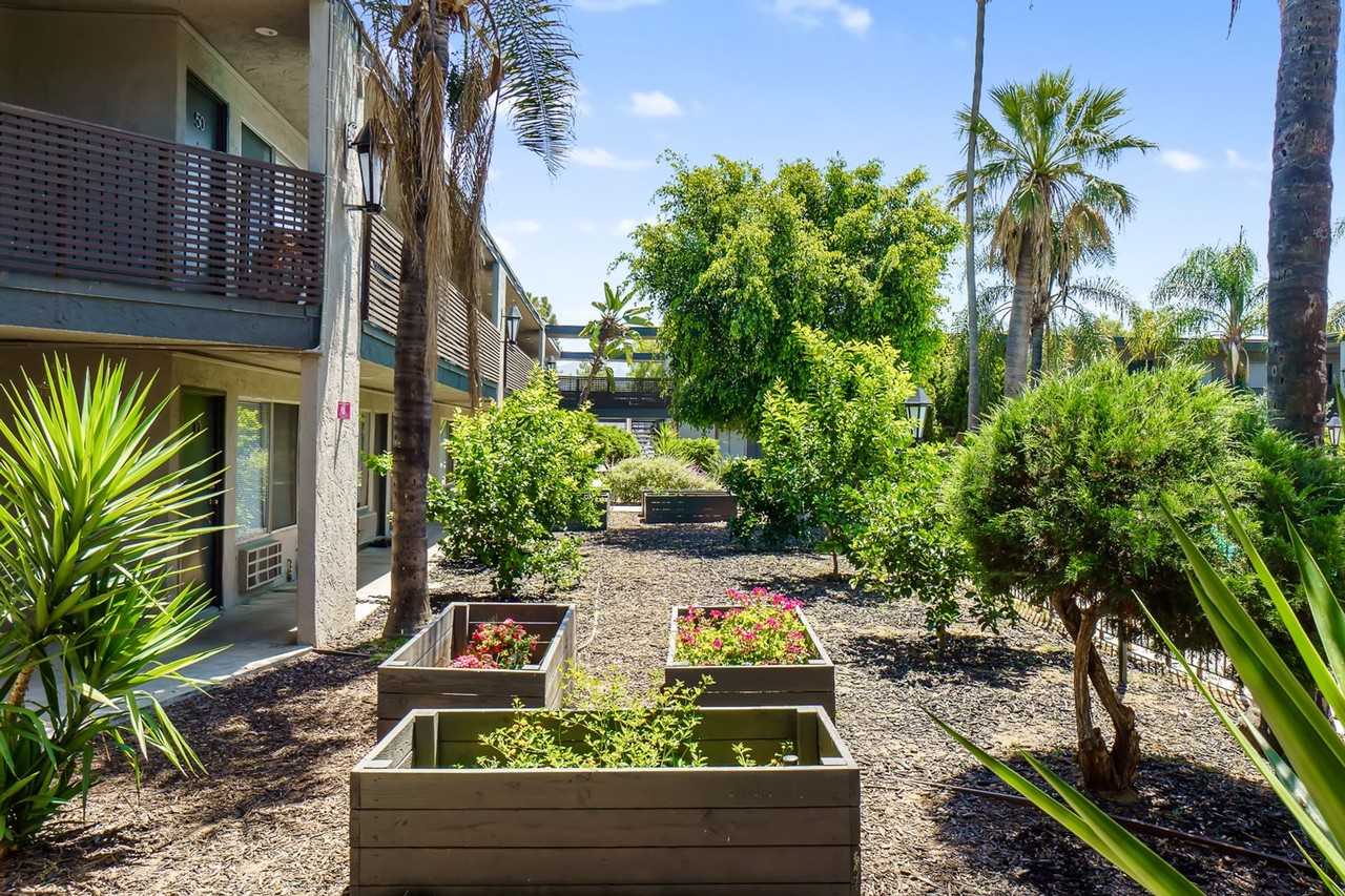 Vista Pines - Photo 3 of 6