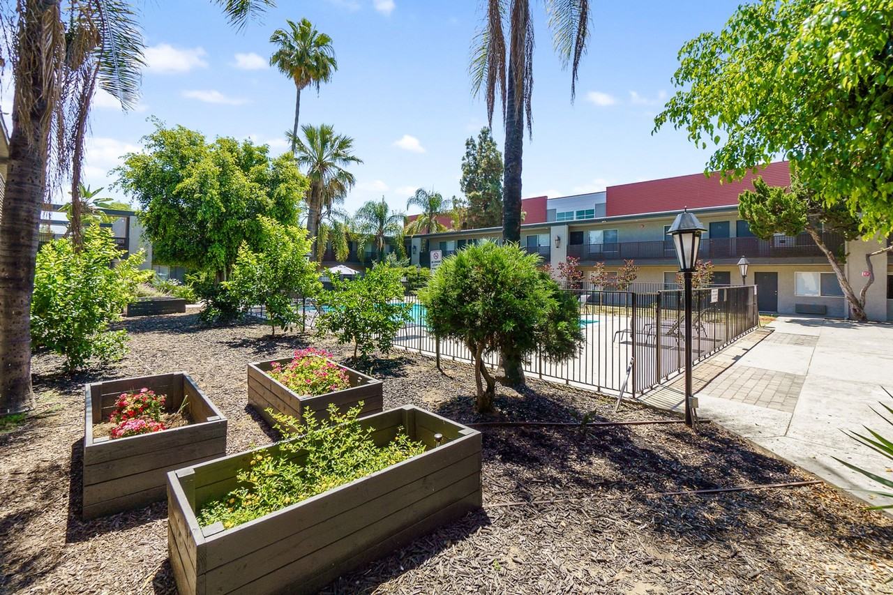 Vista Pines - Photo 5 of 6