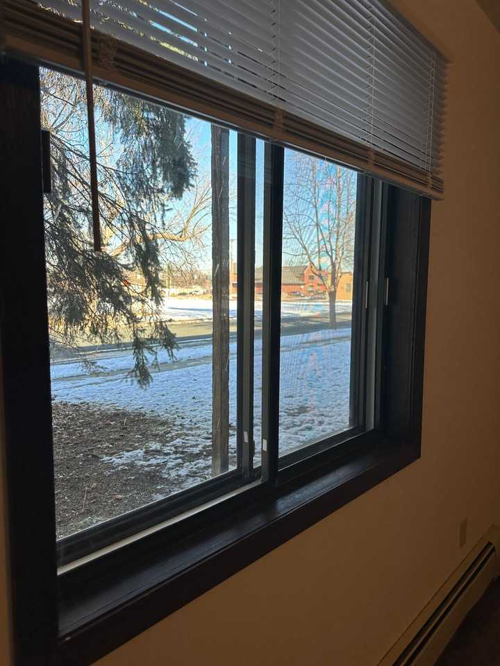 Welcome Home to Pawsome Living: Pet - Photo 3 of 14