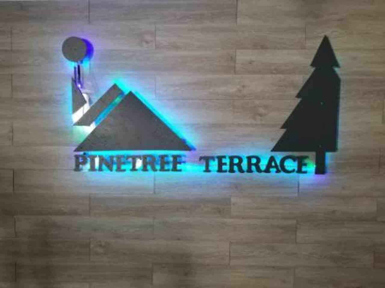 Pinetree Terrace - Photo 3 of 14