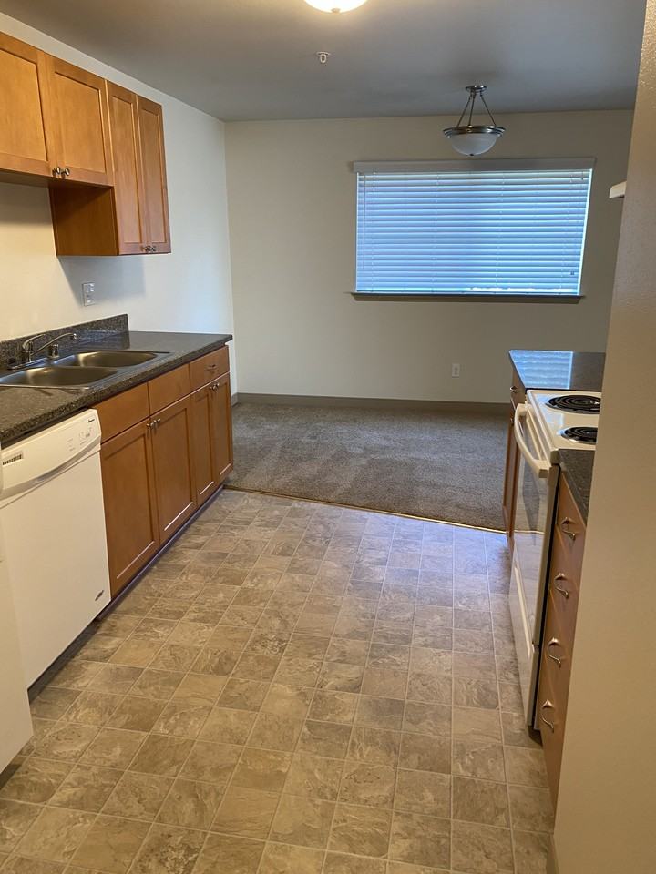 Swan Apartments 7835 Pacific Ave, WA 98408 Zumper