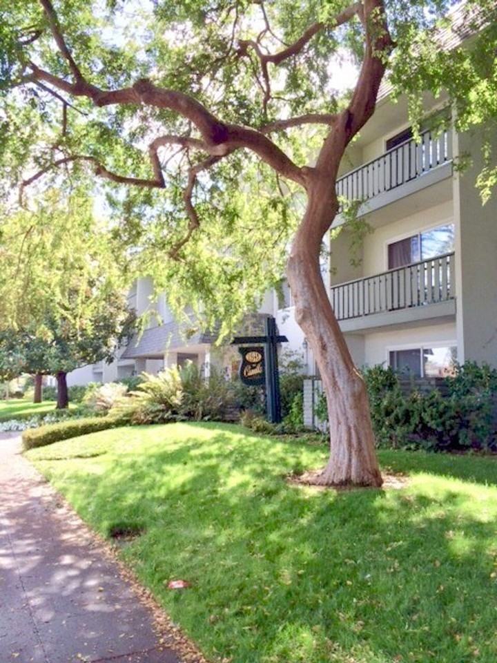 The Camille Apartments - Photo 7 of 14