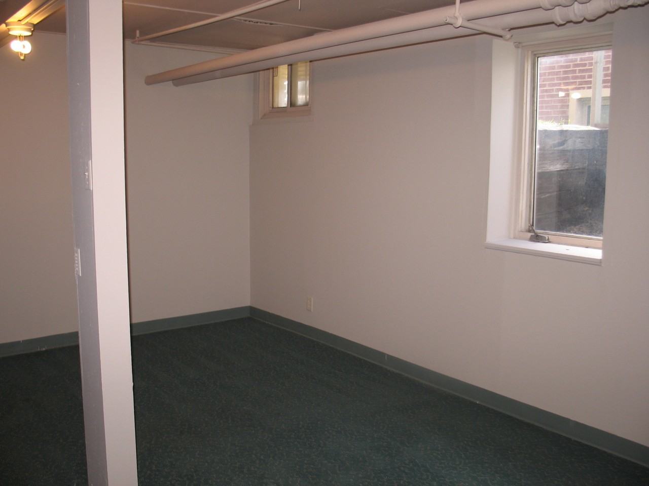 Apollo - Photo 2 of 7