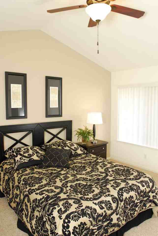 El Dorado Village - Photo 6 of 14