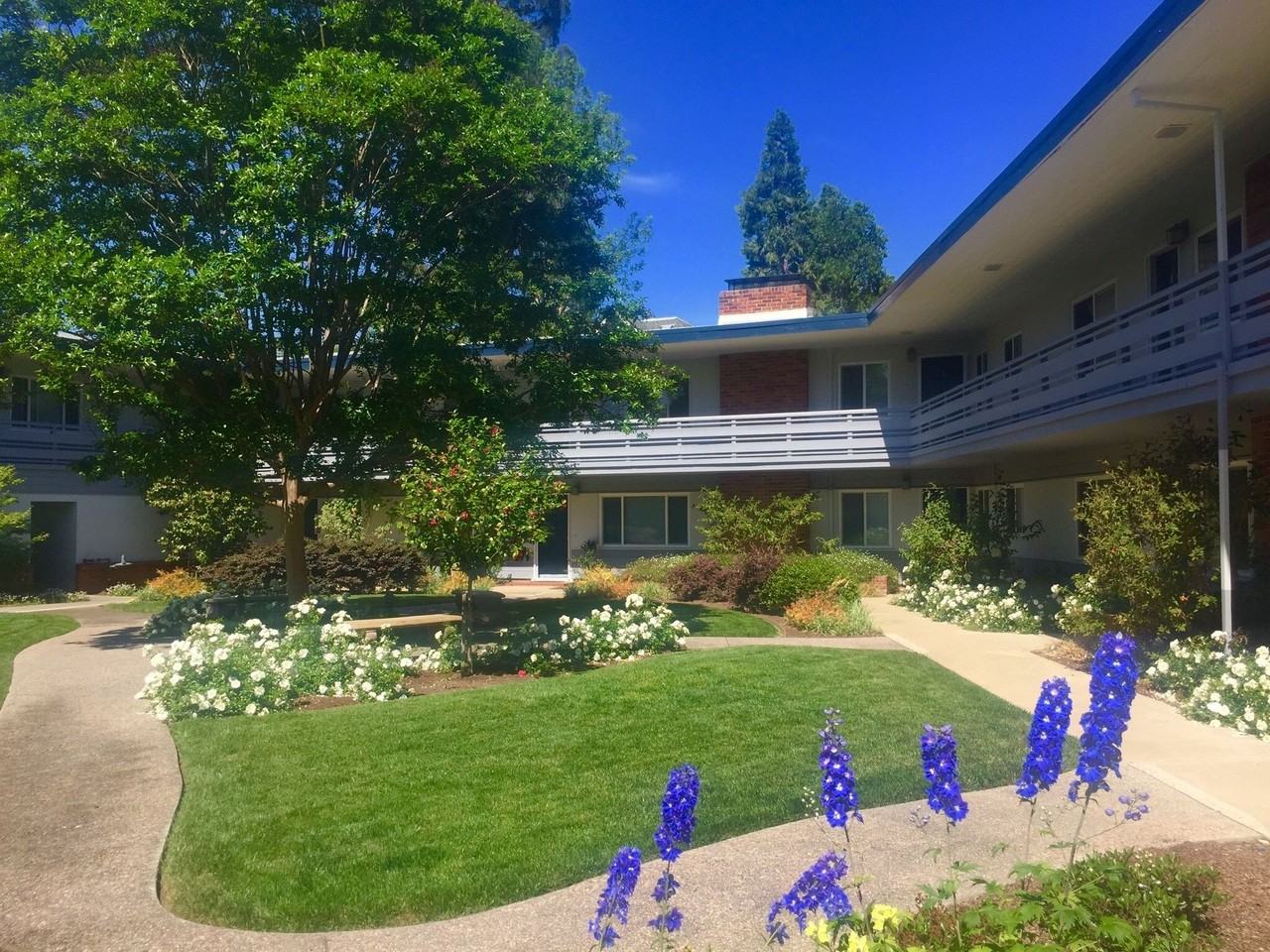 Noel Court Apartments - Photo 2 of 11
