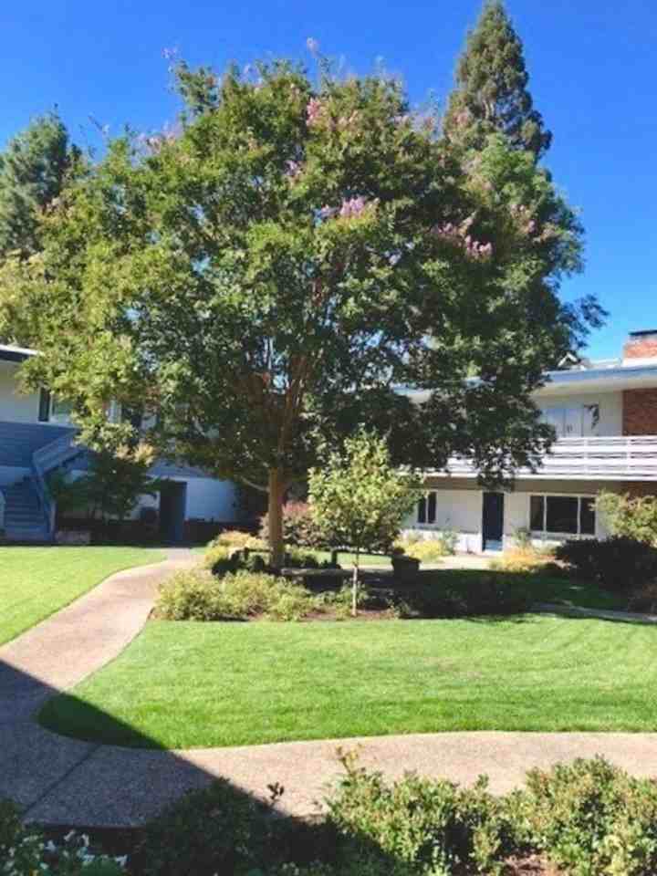 Noel Court Apartments - Photo 3 of 11