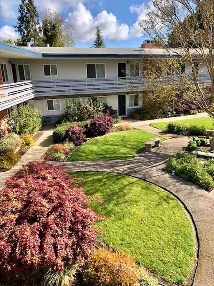 Noel Court Apartments - Photo 7 of 11