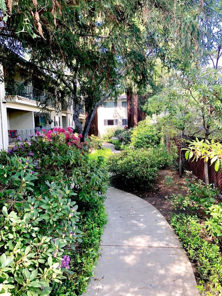 Noel Oaks Apartments - Photo 5 of 10