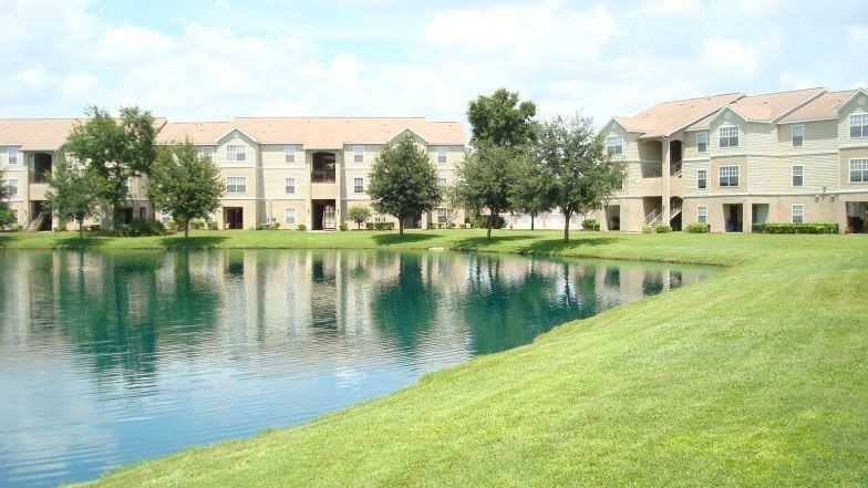 Tall Timbers - Photo 4 of 50