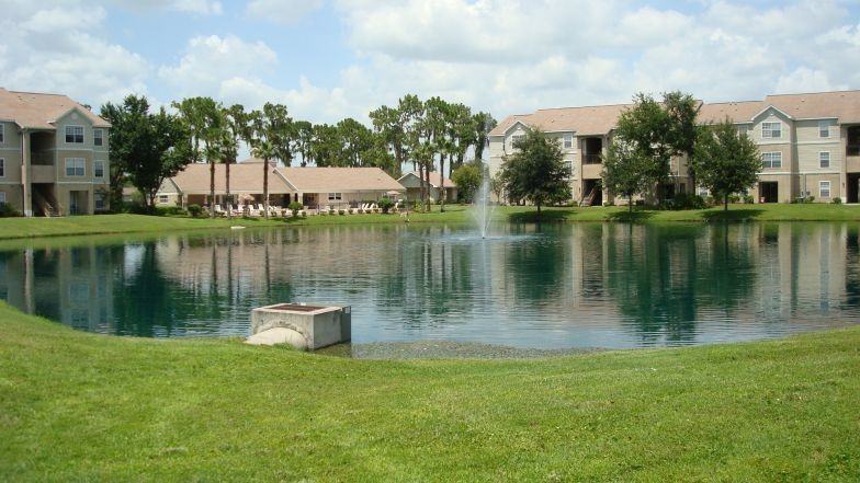 Tall Timbers - Photo 5 of 50